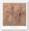Elefantes En El Papel Uno by Carolina Luzon 16"x16" Art Print Poster Latin