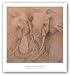 Elefantes En El Papel Uno by Carolina Luzon 16"x16" Art Print Poster Latin
