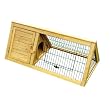 cage guinea pig