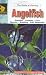Books : The Guide to Owning Angelfish (Aquatic)
