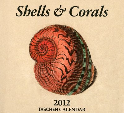Shells - 2012 (Tear Offs)