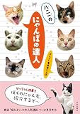 八二一のにゃんぽの達人 かんさい看板猫さんぽ 画像