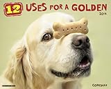 Cover for 9781607557791