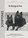 Schipperke (Comprehensive Owner's Guide)