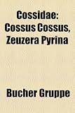 Cossidae: Cossus Cossus, Zeuzera Pyrina
