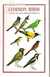 Common Birds