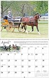 2009 Mischka Driving Horse Wall Calendar
