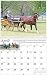 Sporting Goods : 2009 Mischka Driving Horse Wall Calendar
