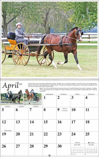 Childrens Toyshop  Sporting Goods : 2009 Mischka Driving Horse Wall Calendar