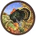 Thanksgiving Coasters - Turkey Theme Coasters - Fall Theme Coasters