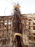 Curly Willow Branches, Fresh-cut, Unique Merlot Color, 20 Branches, 3-4 Feet