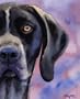 "German Short Haired Pointer" Dog Art Print Signed by Artist DJ Rogers