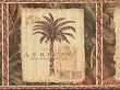 Rust Palm Tree Wallpaper Border
