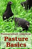Permaculture Chicken: Pasture Basics