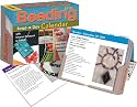 Beading Bead-a-Day: 2010 Day-to-Day Calendar