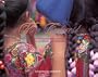 Viva Colores: A Salute to the Indomitable People of Guatemala