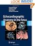 Echocardiographic Anatomy in the Fetus