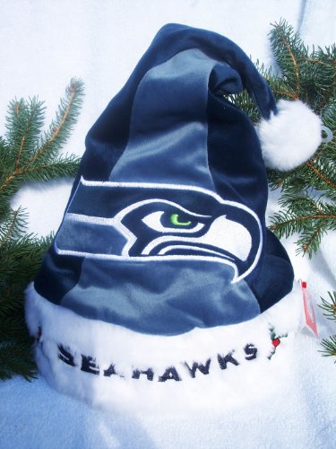 Seattle Seahawks plush holly NFL colorblock Team logo Santa Hat