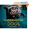 Underwater Dogs