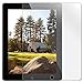 Clear Screen Protector for iPad 2