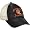 Cincinnati Bengals
