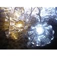25Ft Rope Lights; 3wires ocean blue and pure white chasing LED Rope Light Kit; Christmas Lighting; outdoor rope lighting