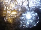25Ft Rope Lights; 3wires ocean blue and pure white chasing LED Rope Light Kit; Christmas Lighting; outdoor rope lighting