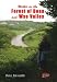 Walks in the Forest of Dean and Wye Valley