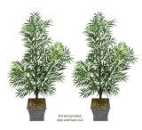 TWO 6' Artificial Phoenix Areca Palm Trees, with No Pot,