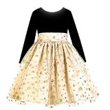 Baby Little Girls Clothes GOLD SPARKLE Christmas Holiday Dress LITO Girl 12M-12