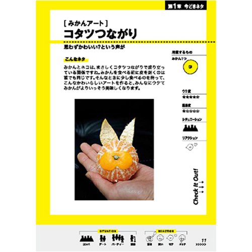 Cover image : 一発テーブル芸マスターブック (晋遊舎ムック)