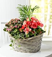 Standard Willow Basket