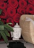Komar - Fototapete - Rosen - 4-077