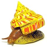 食玩 チョコQ 日本の動物 第6弾 166 オキナエビスガイ