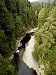 View into Capilano Canyon from the Suspension Bridge Photographic Poster Print by Tim Laman, 12x16