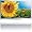 Philips 42PFL6805H/12 107 cm (42 Zoll) LED-Backlight-Fernseher (Full-HD, 50Hz, Eco LED-Serie) Geb&uuml;rstetes Aluminium