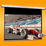 270 x 150 cm (305 cm Diagonale) Profi Motorleinwand von ULTRALUXX © im 16:9 Format -- Full HD, HDTV, HD ready (Modell 2010)