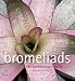 Bromeliads a Connoisseurs Guide