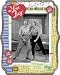 Search : I Love Lucy 2010 Die Cut Calendar