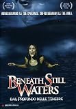 Beneath Still Waters