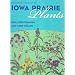 An Illustrated Guide to Iowa Prairie Plants