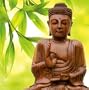 Buddha Card 1