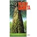 The art of Laputa (�W�E�A�[�g�E�V���[�Y (7))