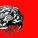 BLIND TIGER, self defense for the blind.