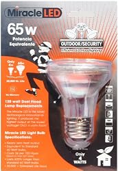 Miracle LED 605027 Security Bulb, White