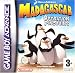 Madagascar - Les pingouins
