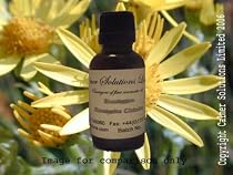 Palmarosa 100% Pure Essential Aromatherapy Oil 10ml