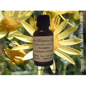 Tea Tree 100% Pure Essential Aromatherapy Oil 100ml