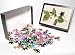 Photo Jigsaw Puzzle of Plants/atropa Belladonna from Mary Evans