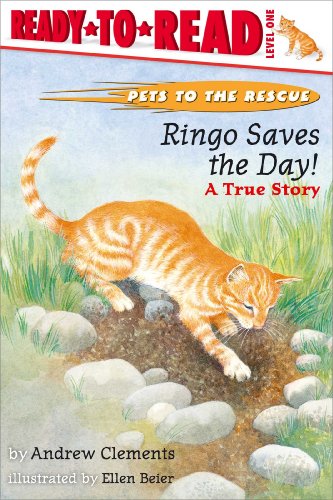 Ringo Saves the Day!: A True Story